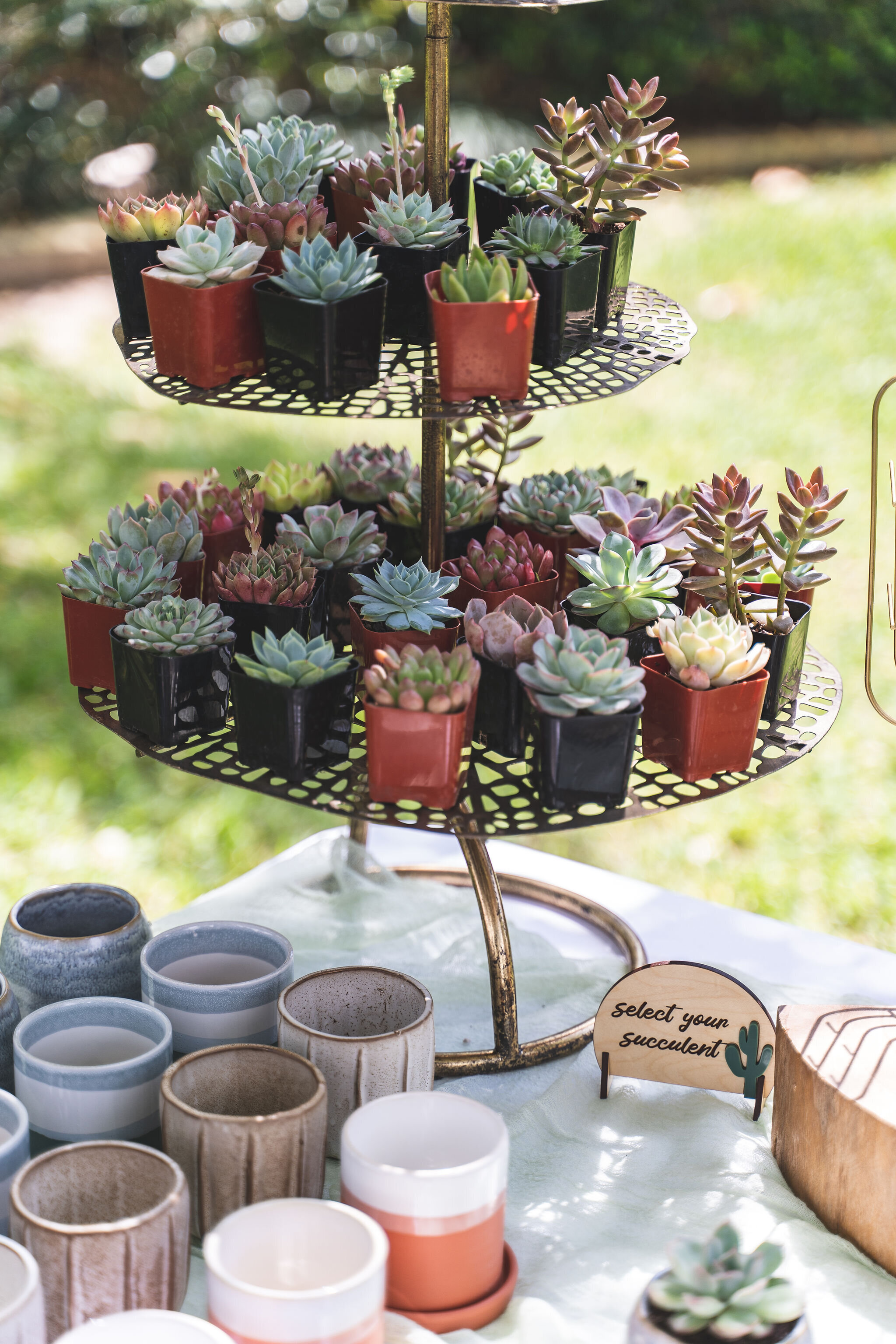 DIY Succulent favor table for bridal showers baby showers corporate succulent planting events unique party favor ideas and personalized gifting