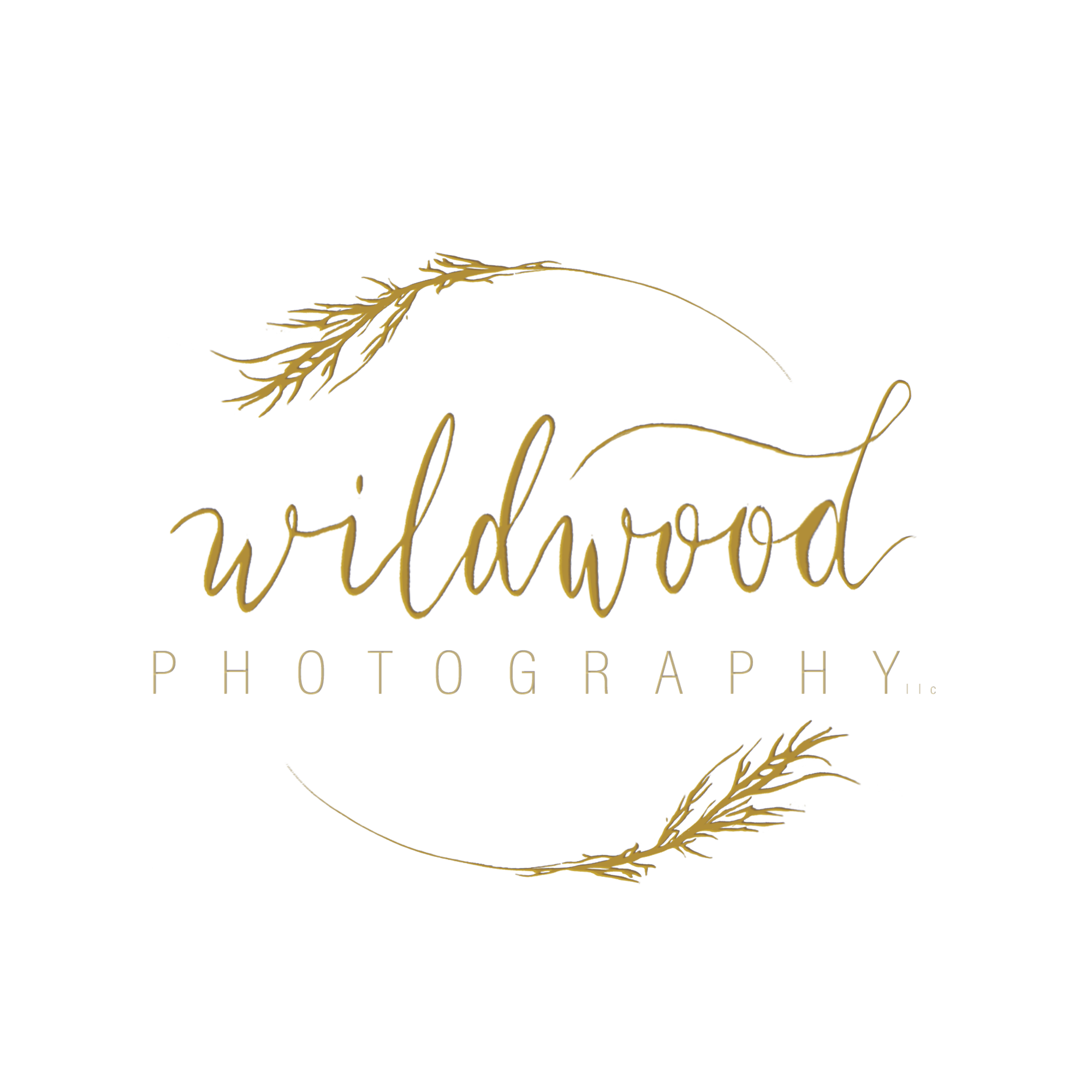 leawood ks photographer, newborn photography leawood ks, family photography leawood ks, lifestyle photography leawood ks