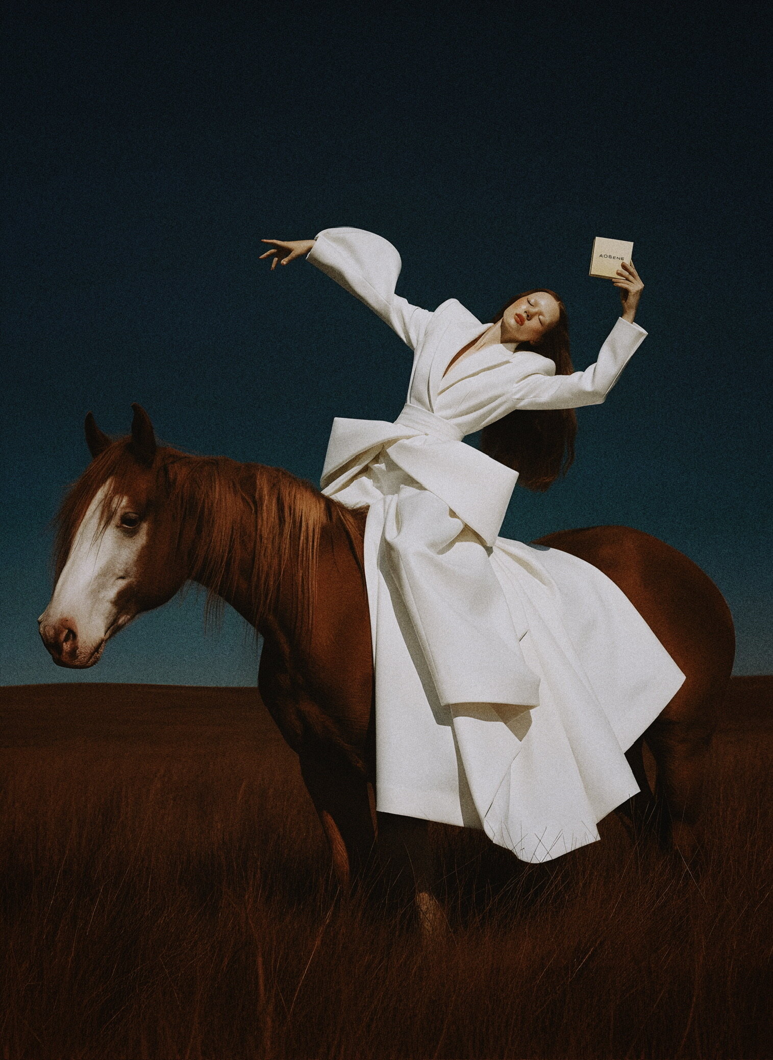 D48582CE-7229-4761-BE89-38CCAEC143CA_1_102_o