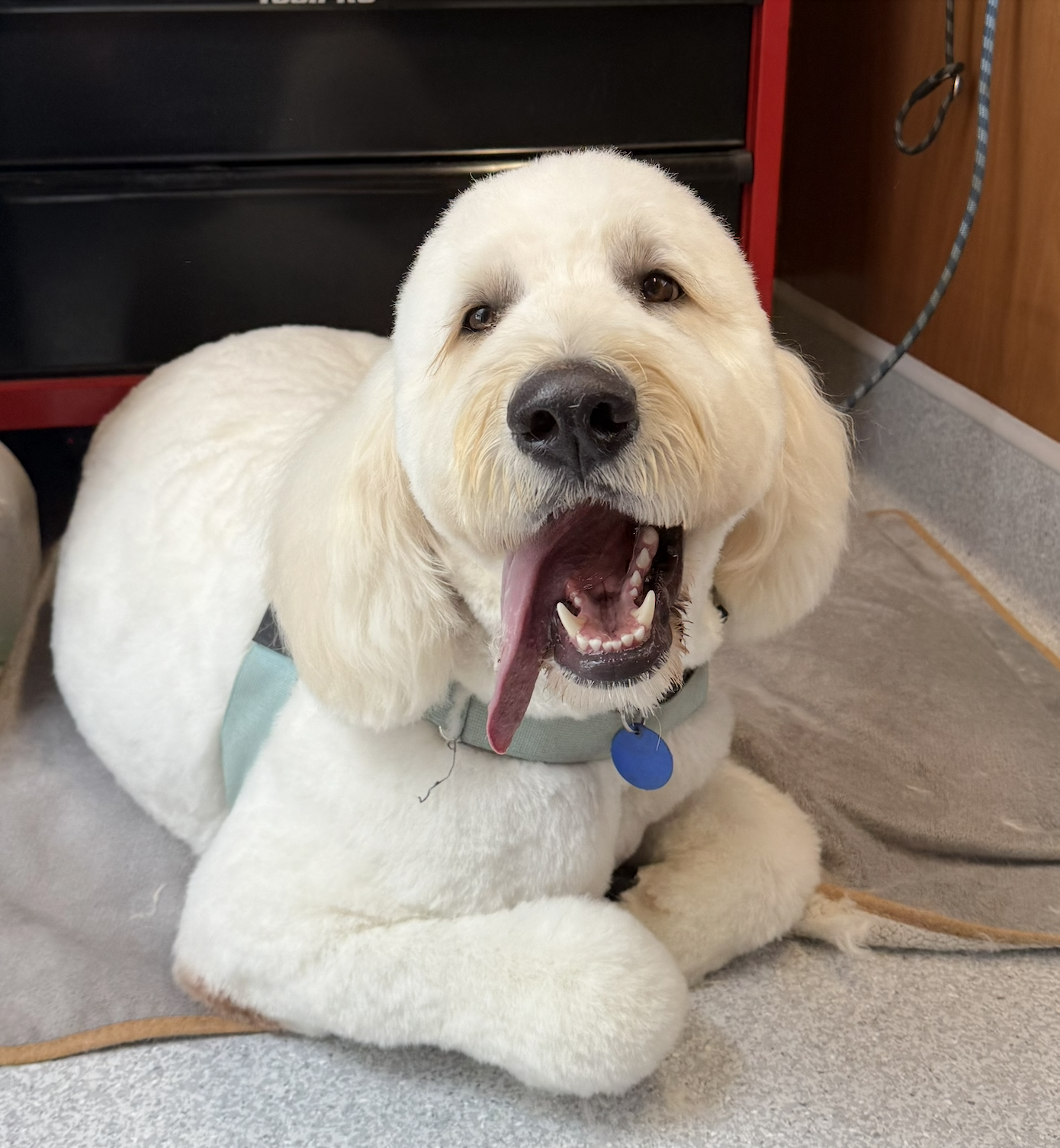 Screenshot 2025-09-14 at 4.18.47 PM