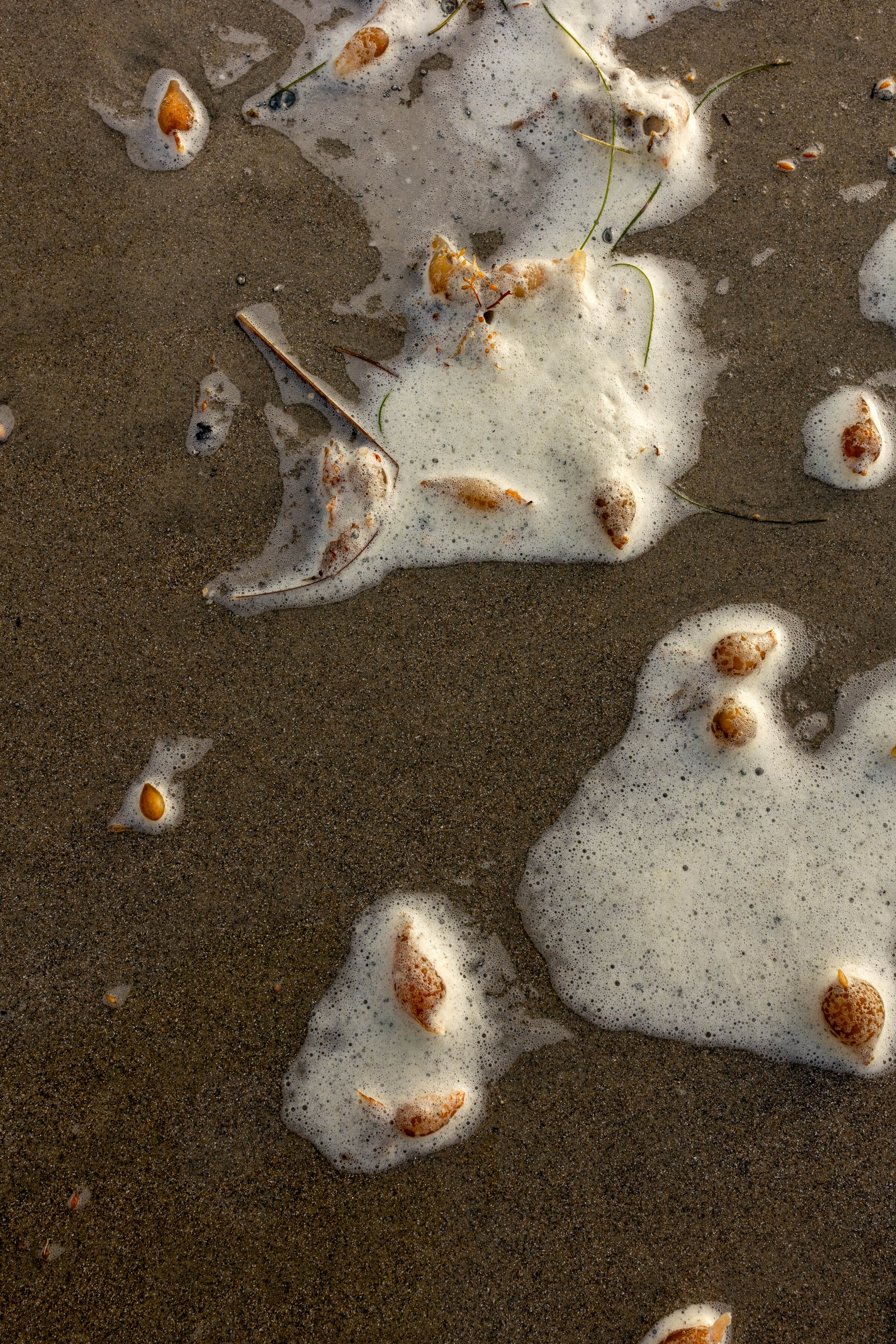 SanDiegoBeach-12