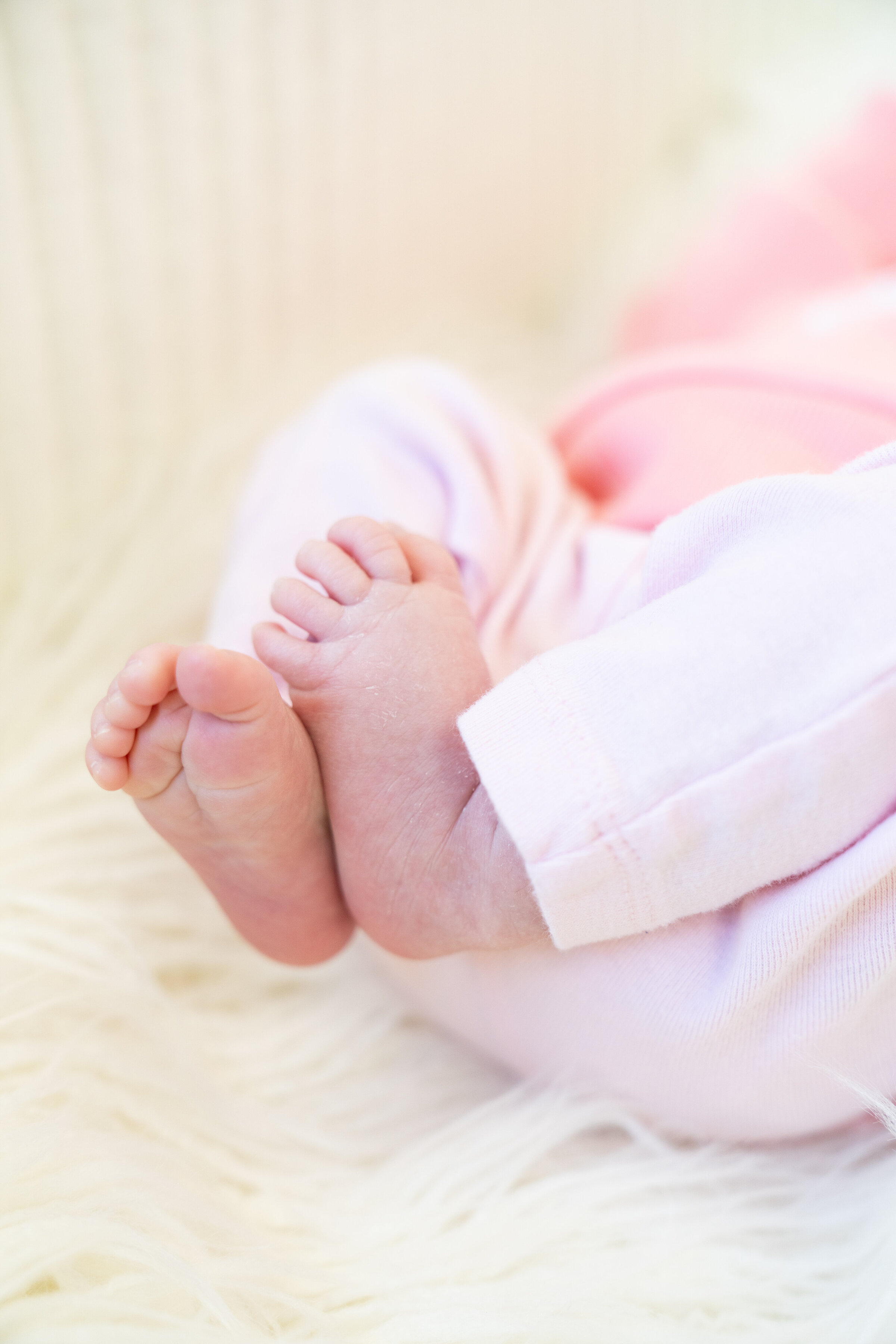Newborn infant pictures