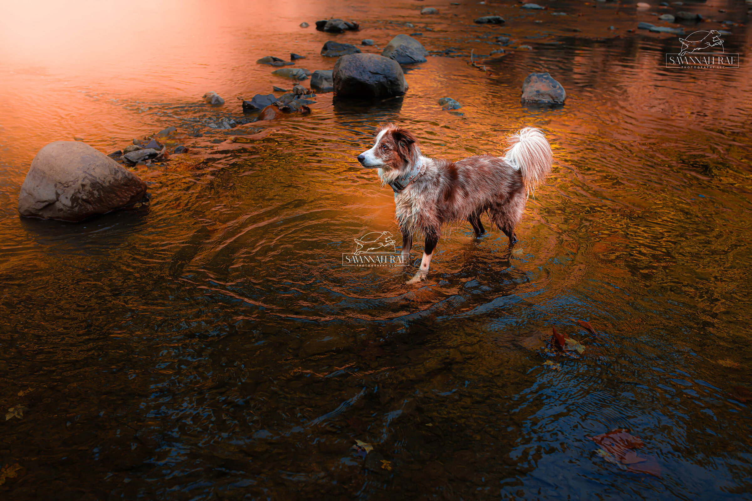 Luna Reflections at Dusk-3 SM