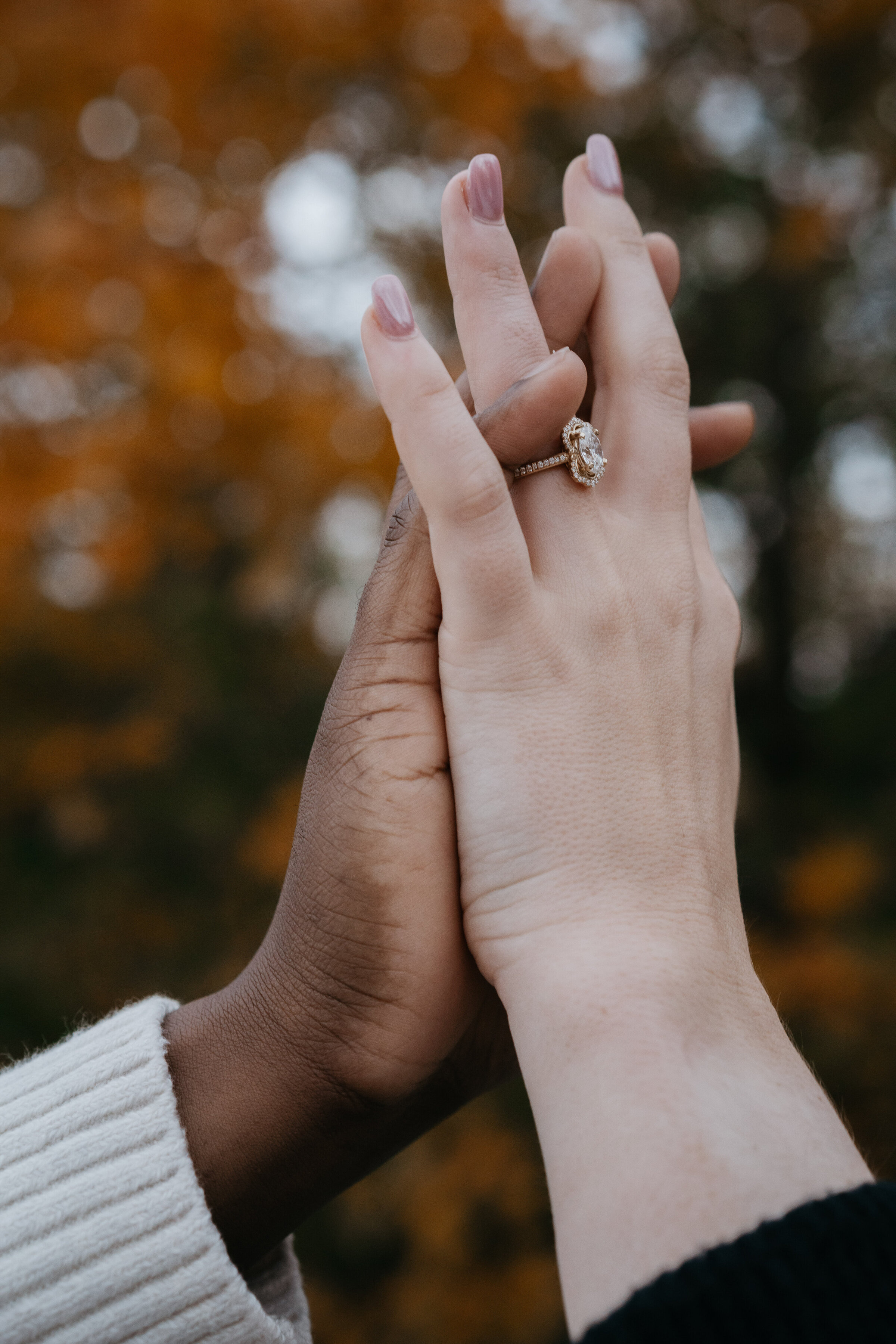 Majolica_photo_Jeremy and Jillian surprise proposal_Mont_Royal_52