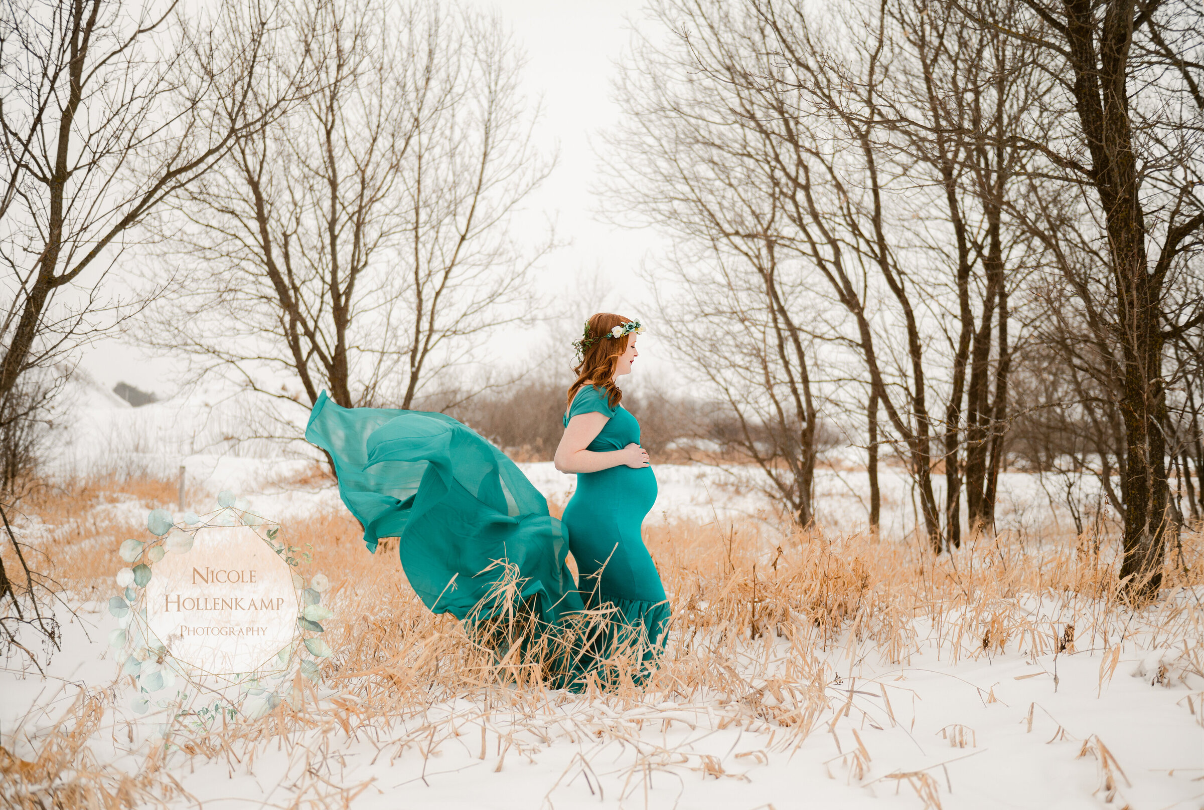 Snowy Maternity Photos Minnesota Pregnancy Photographer