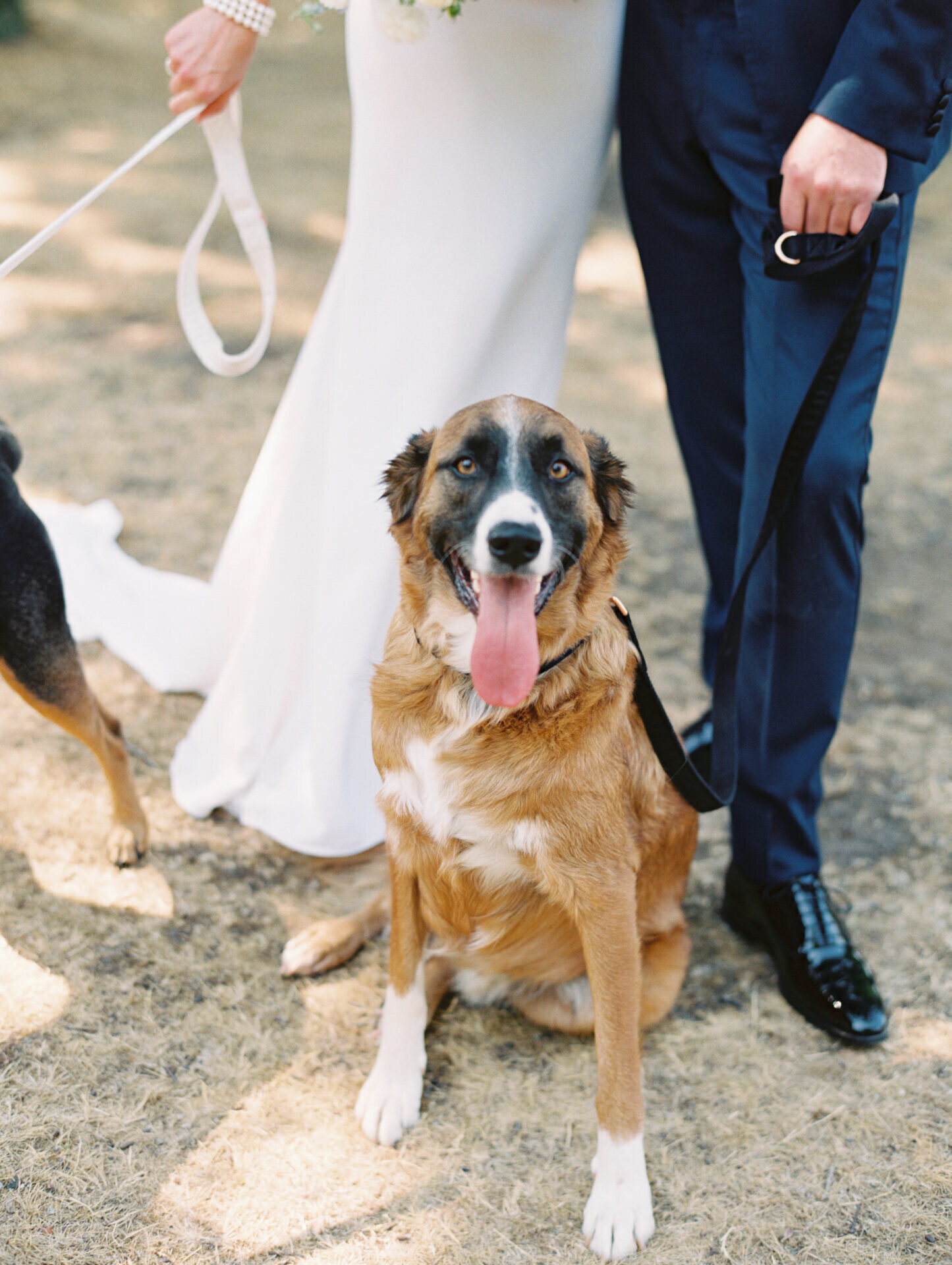 The-Admirals-House-Seattle-Wedding-087