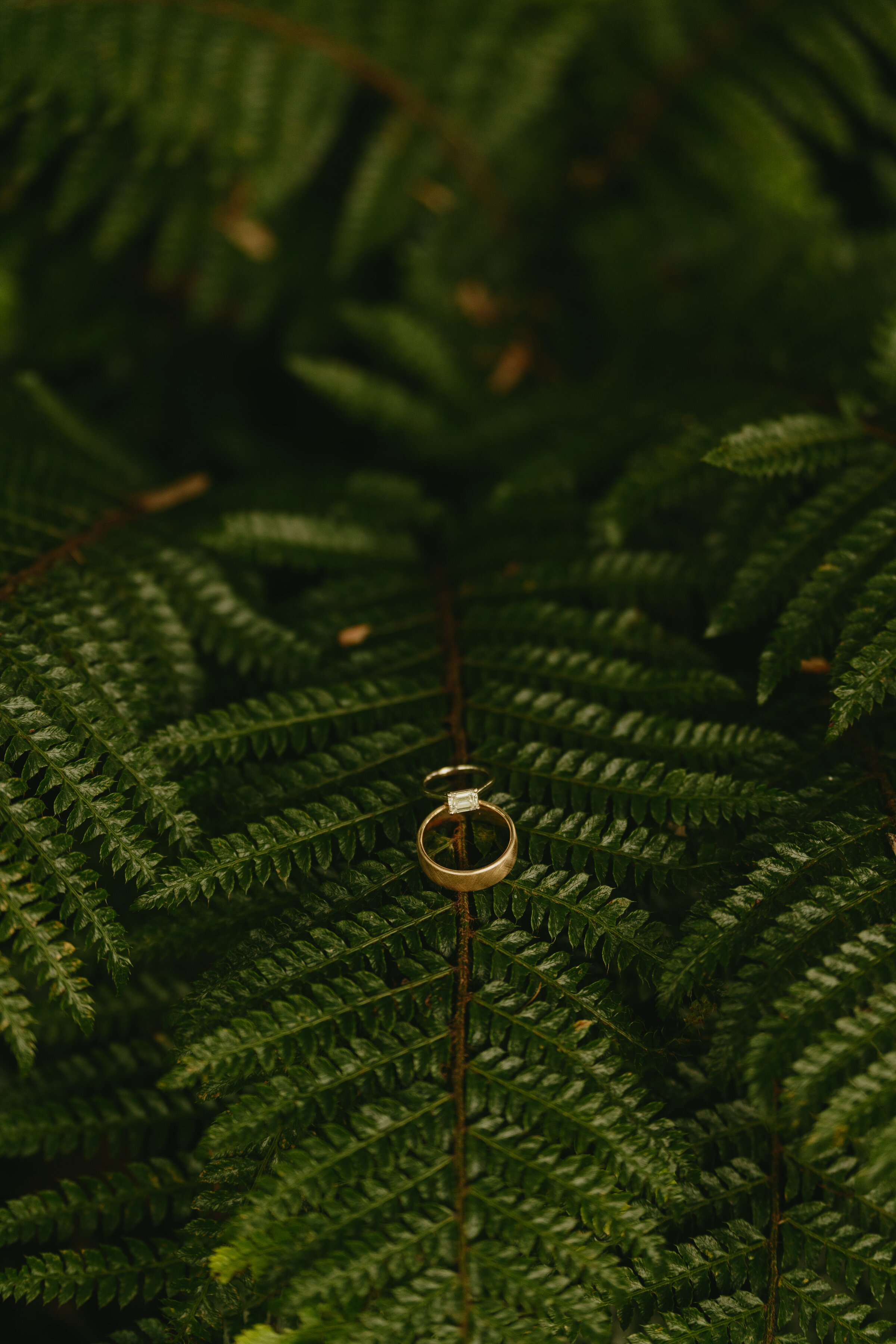 Jenna + Justen-41