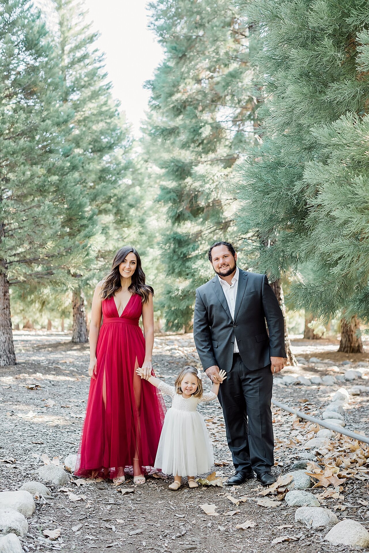MIchelle Peterson Photography Redlands California wedding and portrait photographer_1207