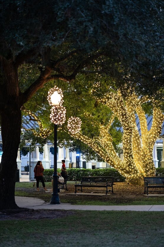 PADChristmasonPark