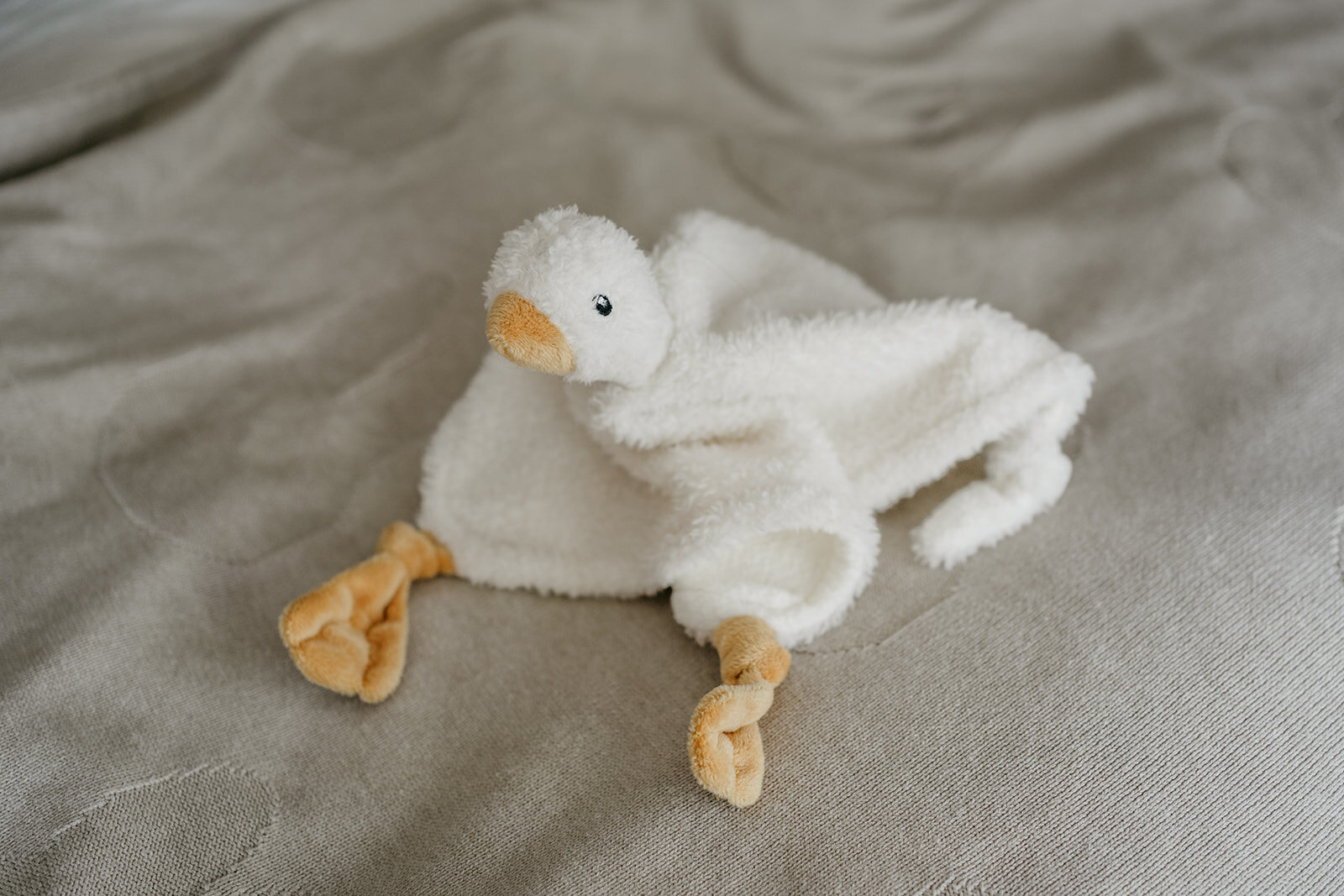 NewbornshootGuus_0077_websize