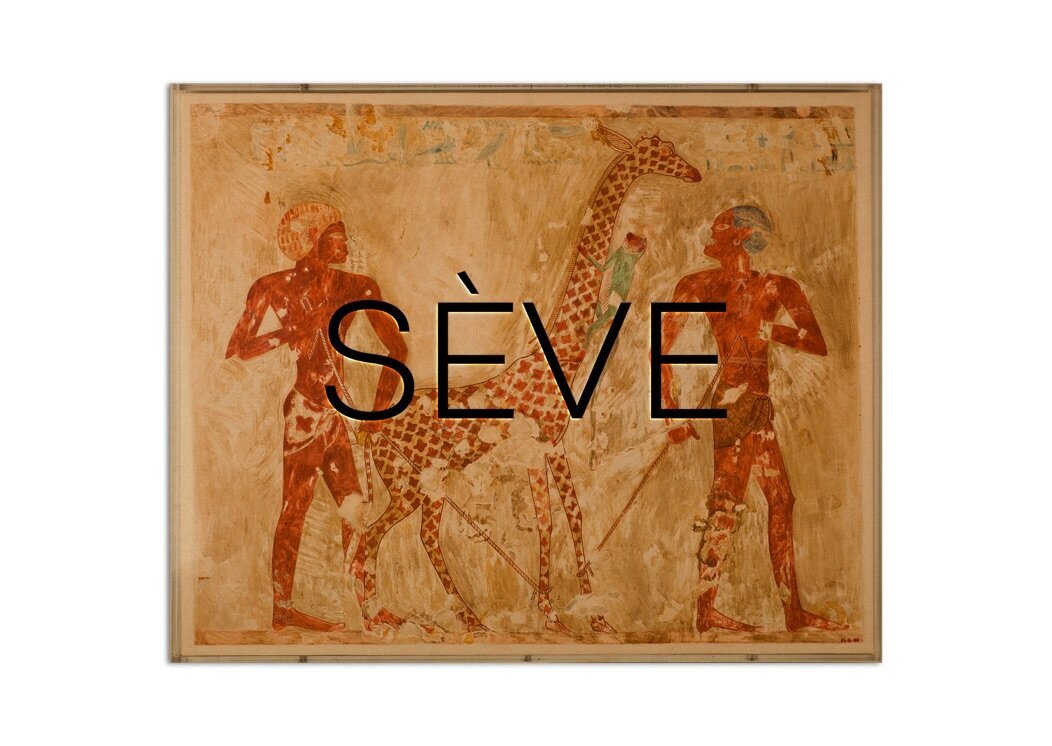 C4E0B4CA-DEF2-4F30-9EB2-DA3978719790_1_105_c