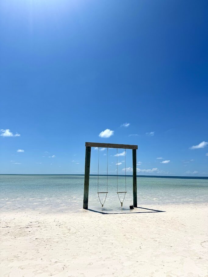 Ocean Swings