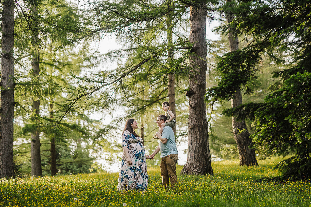 family with toddler son holds hands in forest for maternity photos in boston