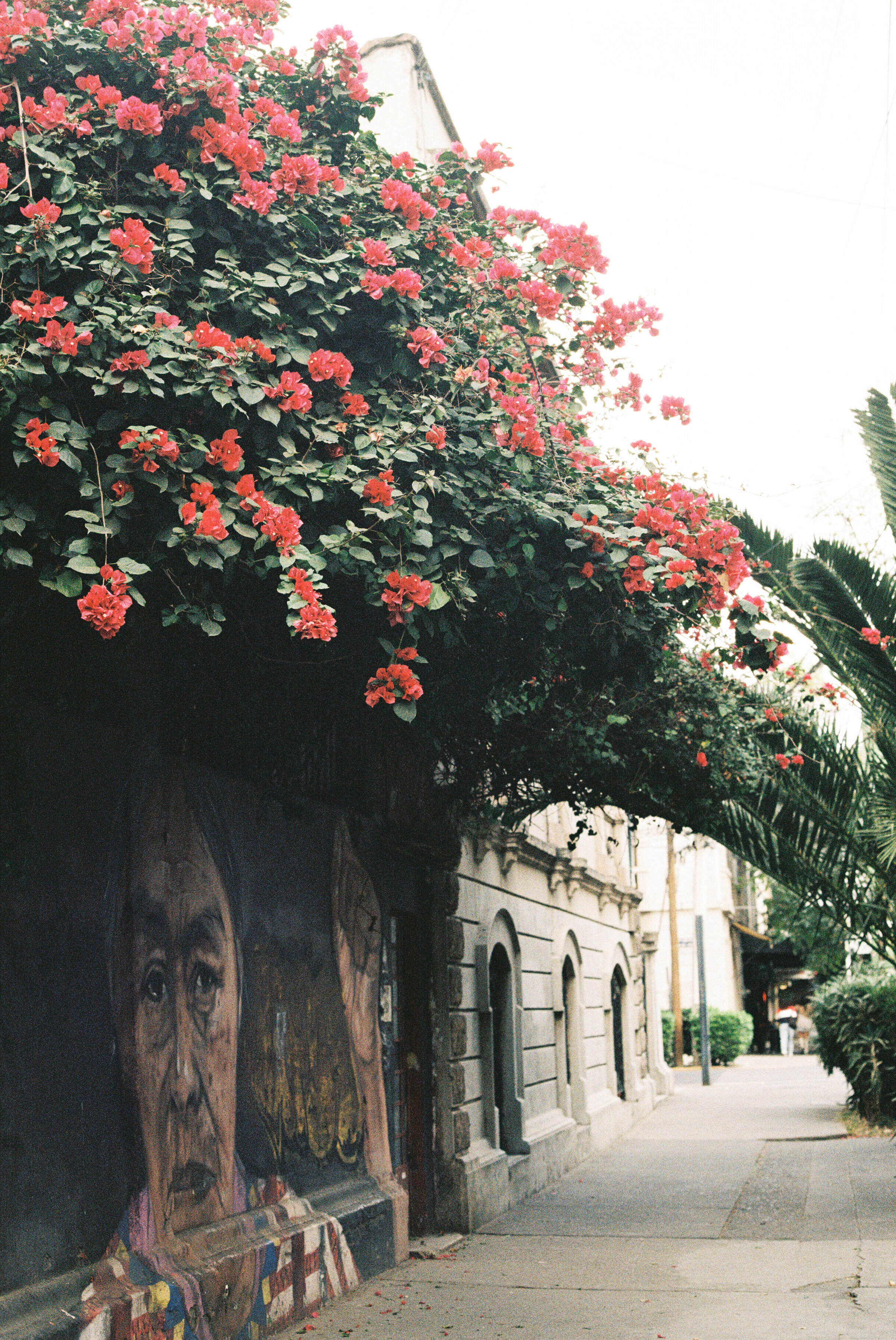 mikaylacphotos--7