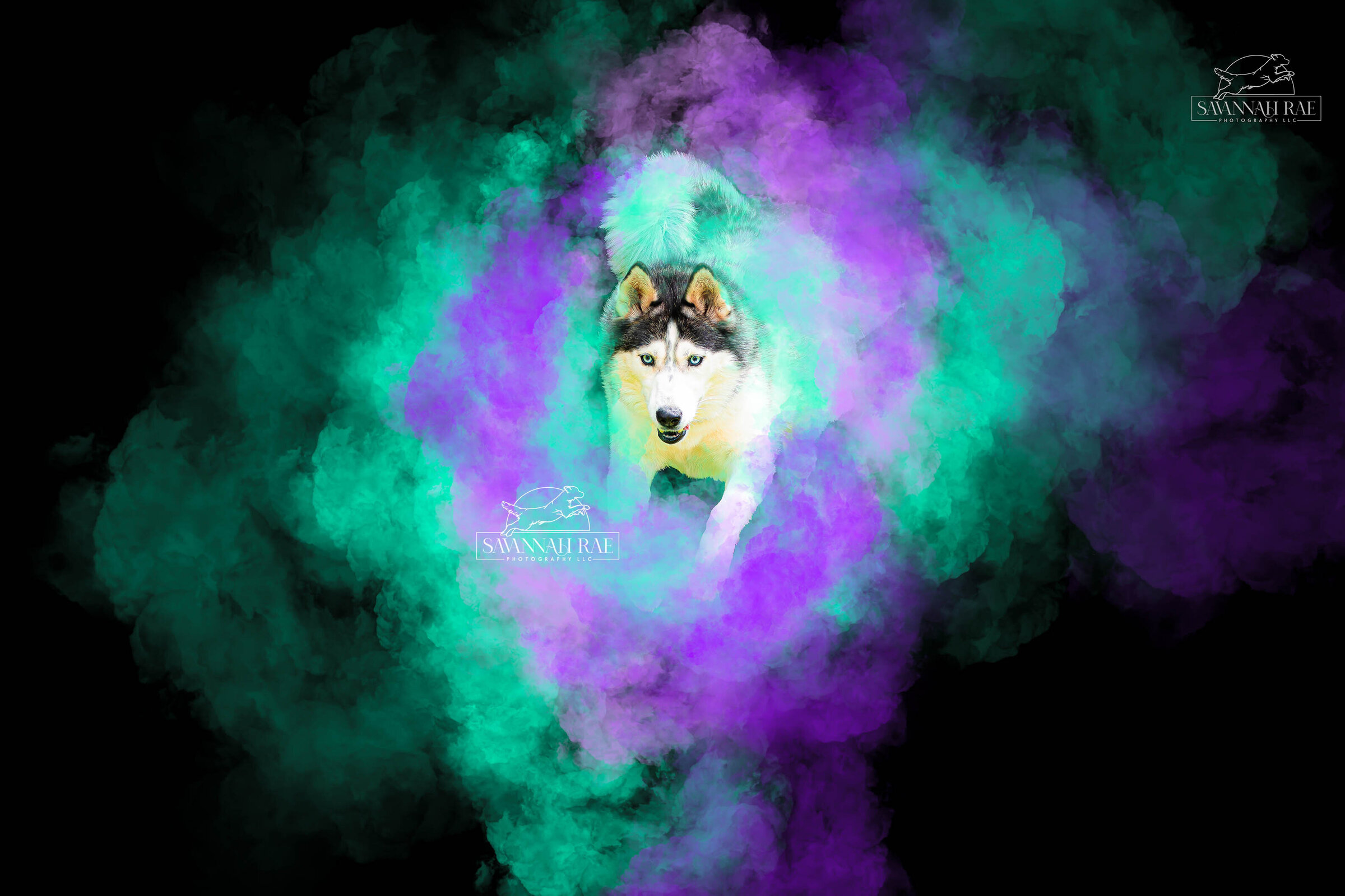 Brittany, Hanson, Korra, Nessie, Bunker-42 copy