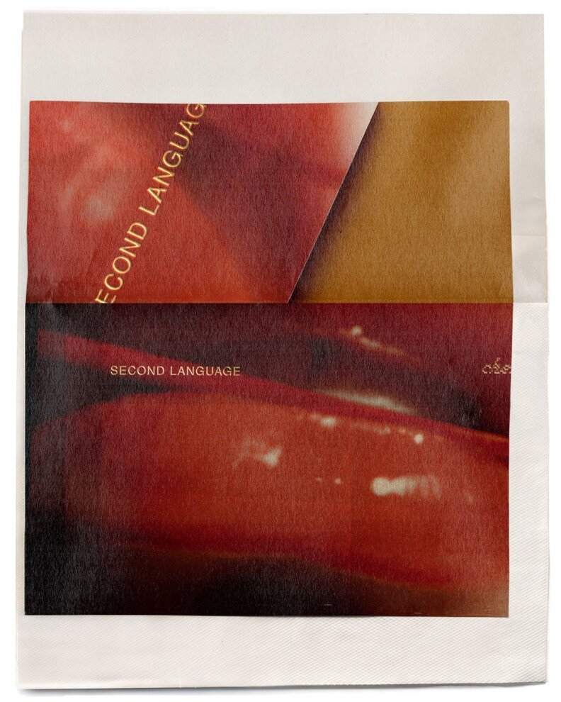 9CDC8288-5953-469E-9365-771F33A2DF85_1_105_c