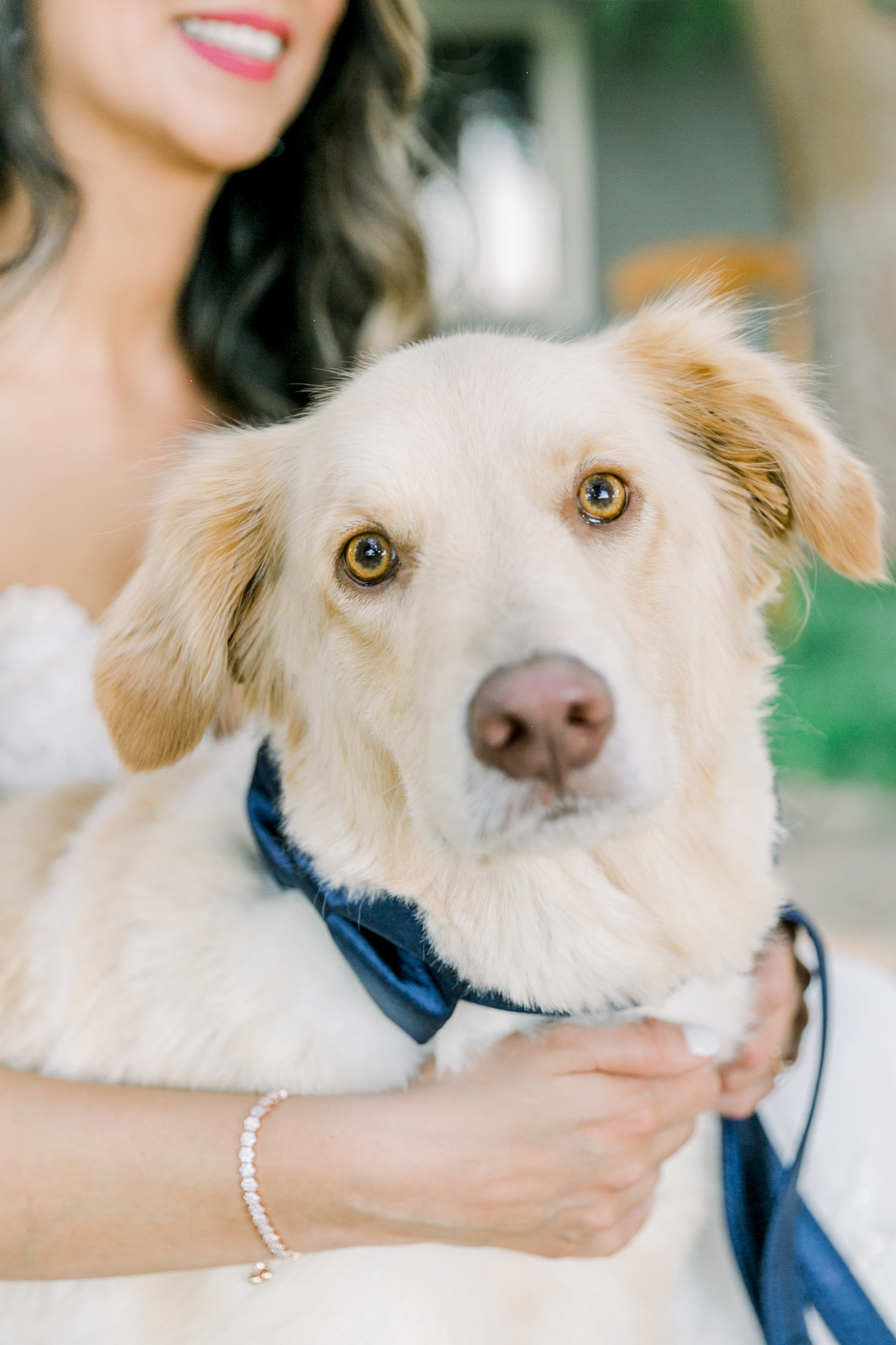 Karlie Colleen Photography - Phoenix Arizona - Farm At South Mountain Venue - Vanessa & Robert-318