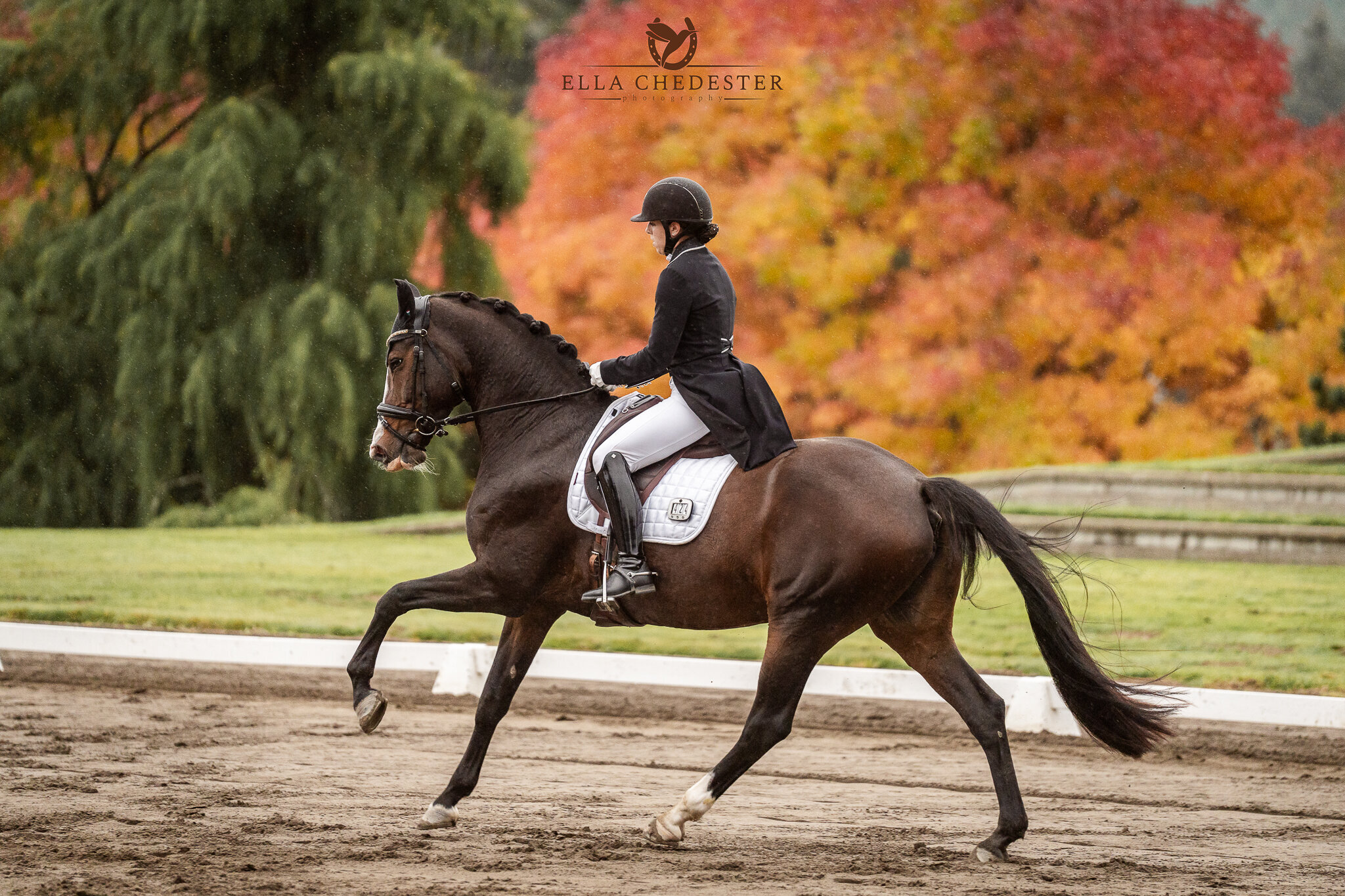 Michele Bondy & Sonnenberg’s Juliette d’Rosa