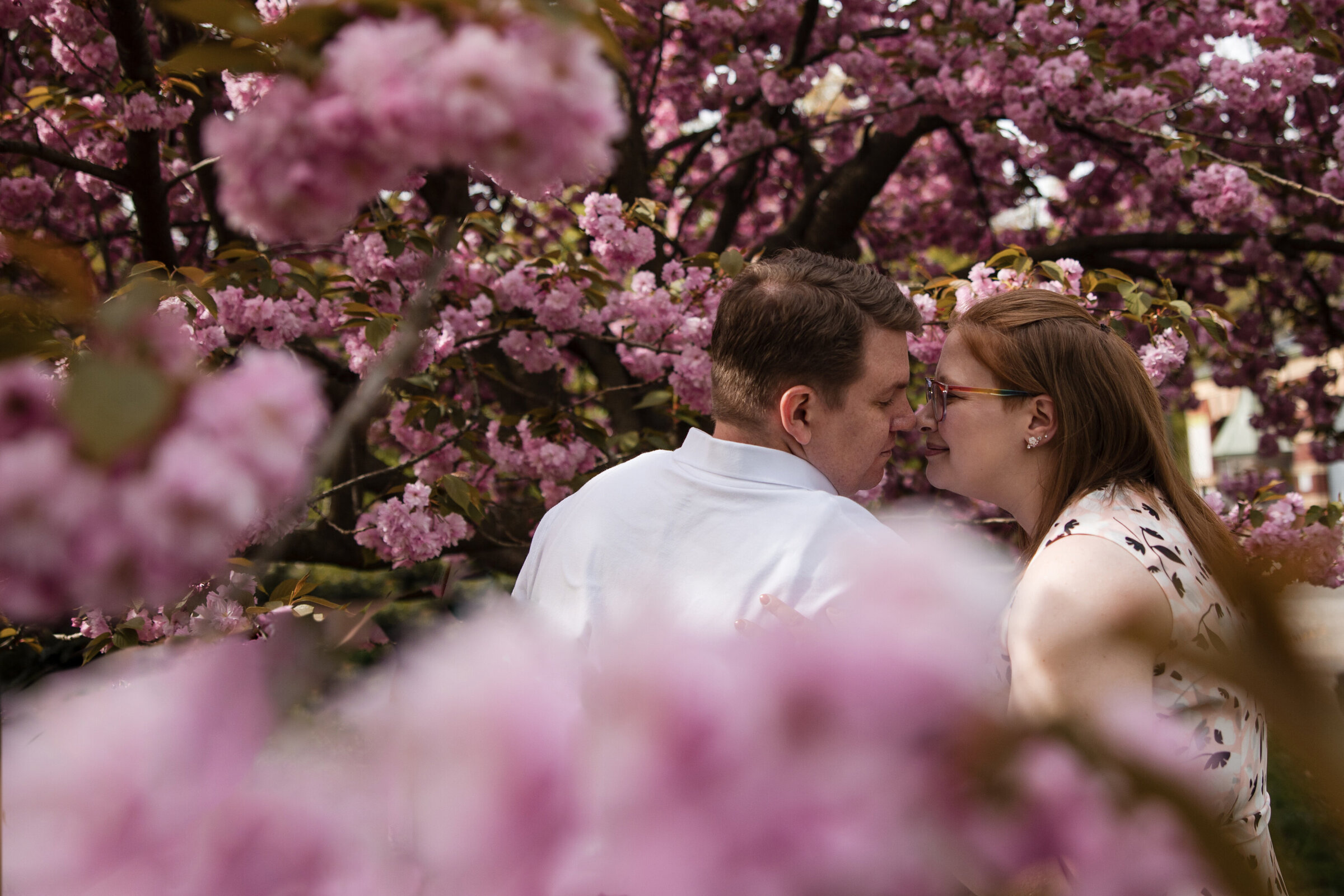 Couple embracing under cherry blossoms in Prospect Park during spring engagement season.