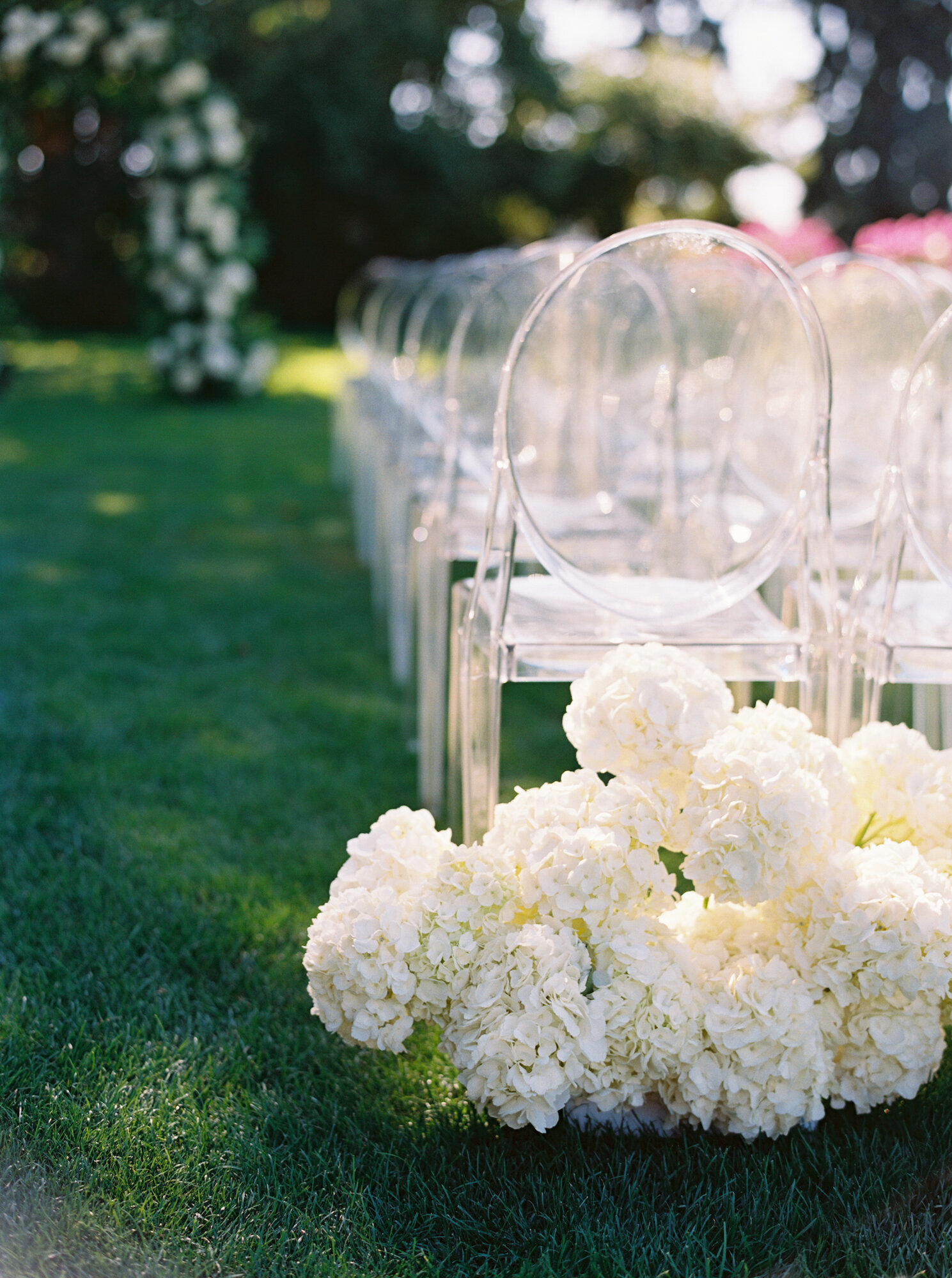 fluffy white hydrangeas at wedding ceremony with ghost chairs