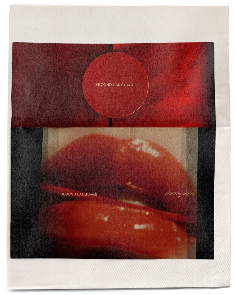 77B0CA02-6BAF-48C8-BAEC-4458A7F8F208_1_105_c