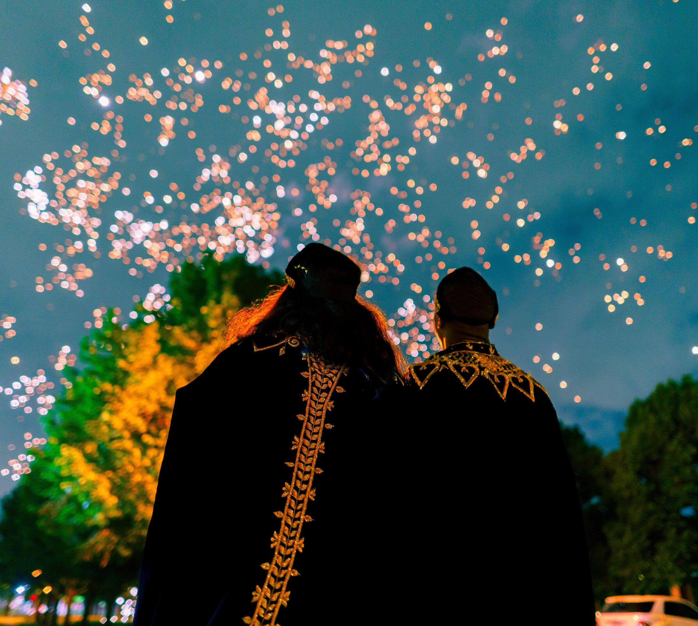 Phonando Studios Chicago Wedding Photographer - Ruth Matt DSC06527