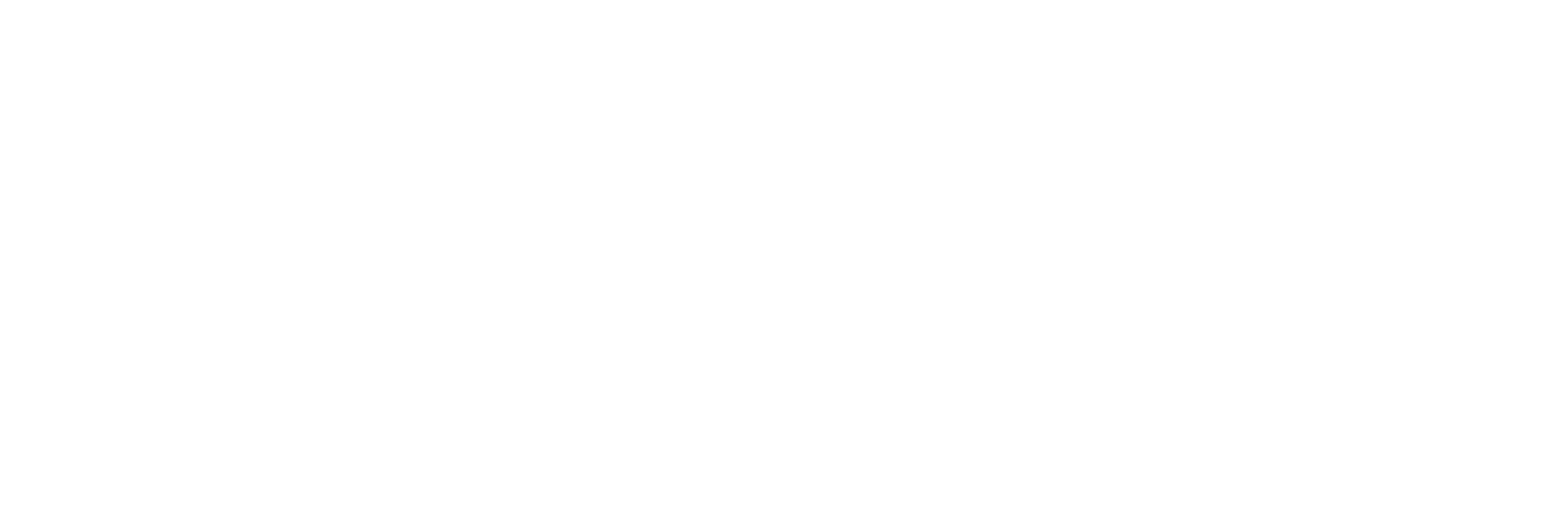 braut logo