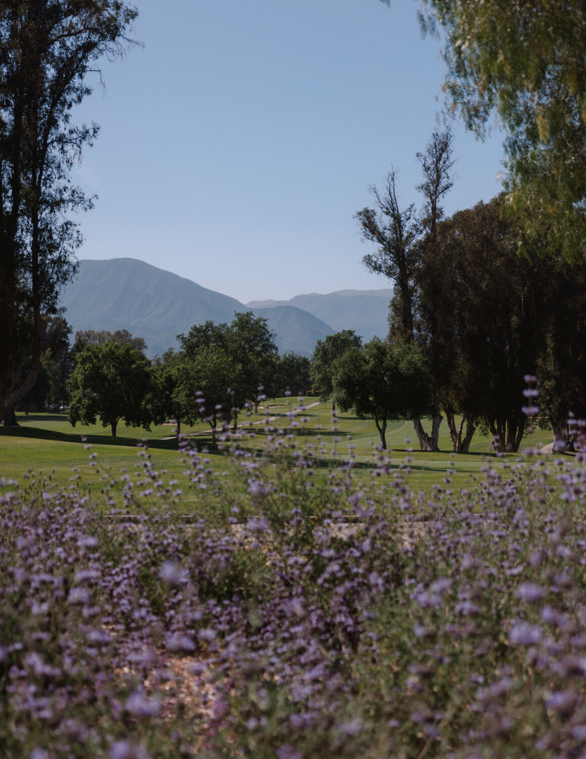 Ojai Valley Inn Wedding - Afrik Armando-11