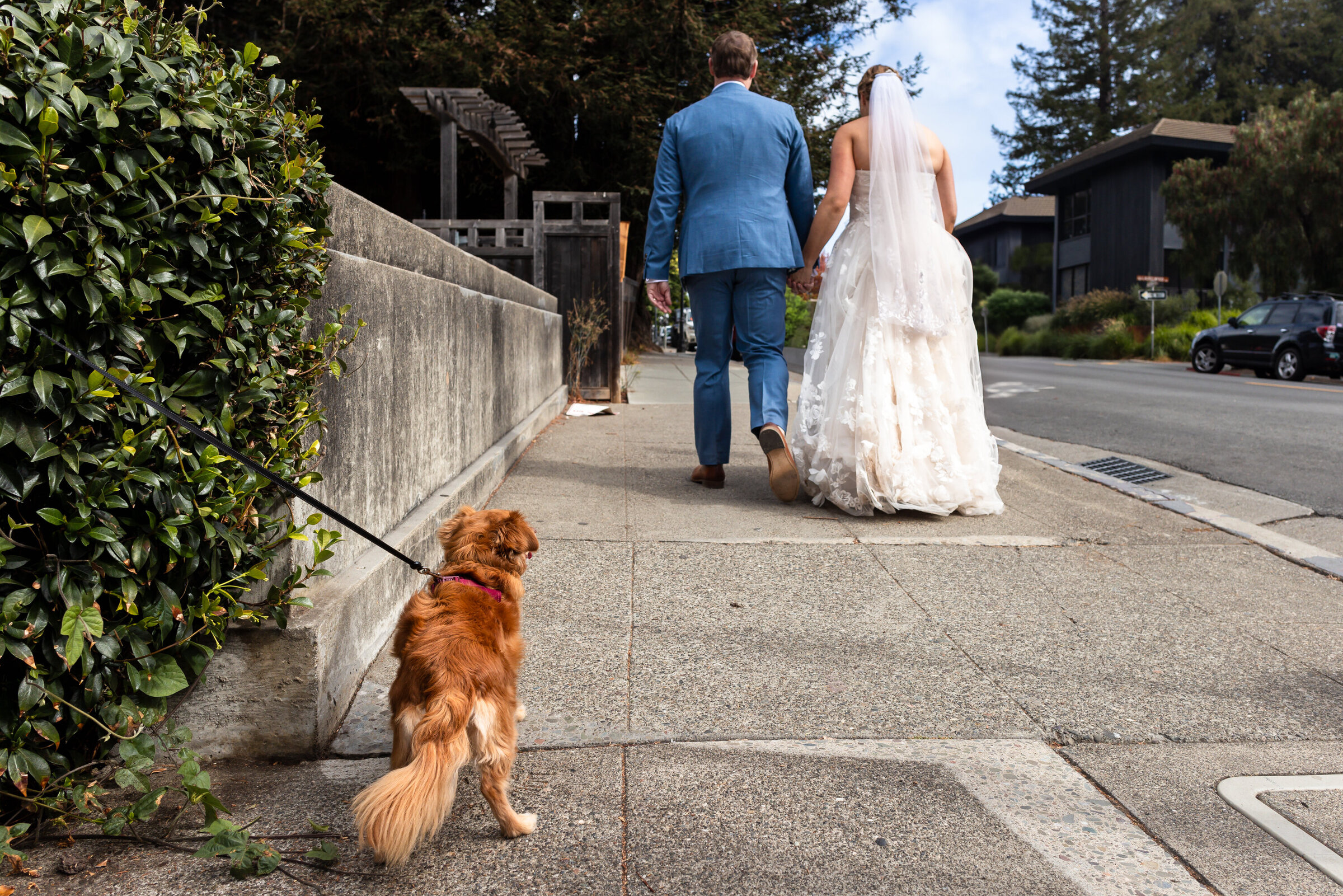 sonoma-county-wedding-photographer-111
