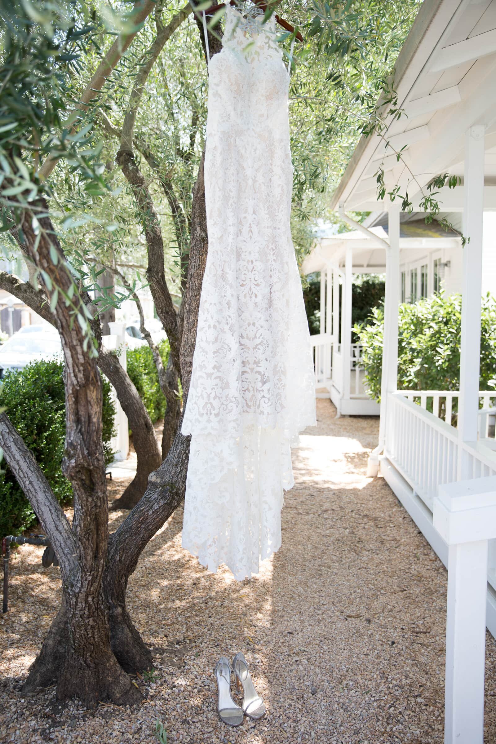 custom bridal gown hanging on an olive tree branch by Napa Valley wedding photographer.