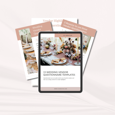 Mockup for vendor questionnaire