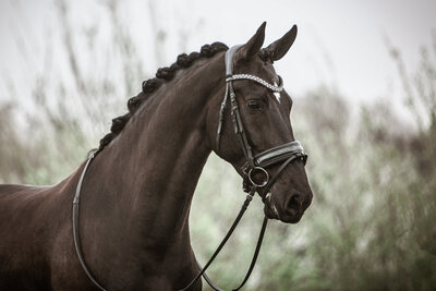chantalfotografeert-15