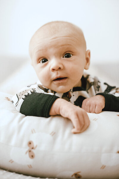 Ainsley-Greene-Showit-Template-Family-Photographer-36