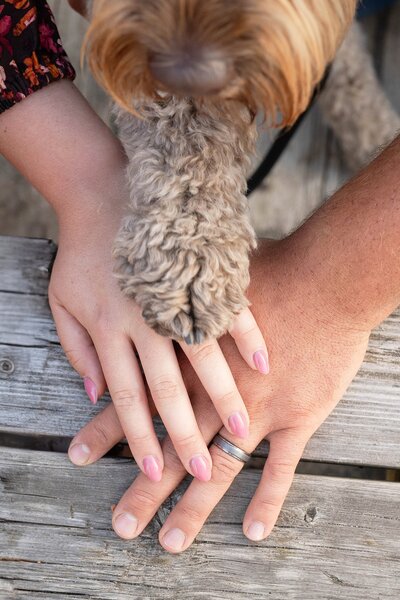 2024-09-07 Nicole DeJoseph Photography (50)_WEB