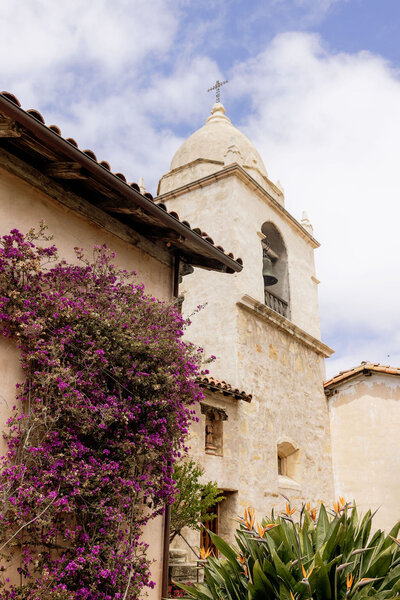 tessa-matthew-carmel-mission-basilica-wedding-1