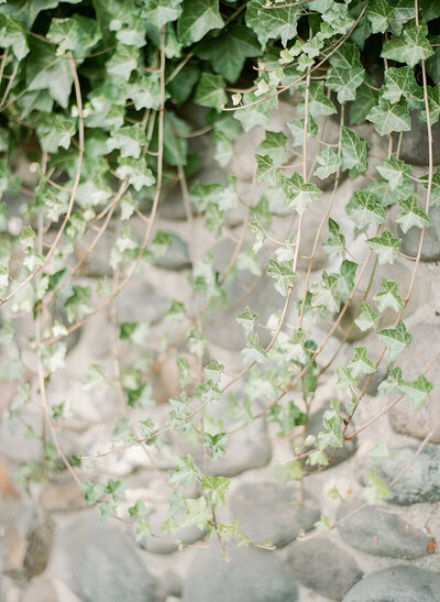 Jess + Nicole _ Wedding Film-239_websize