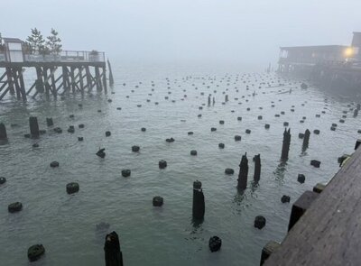 IMG_2567