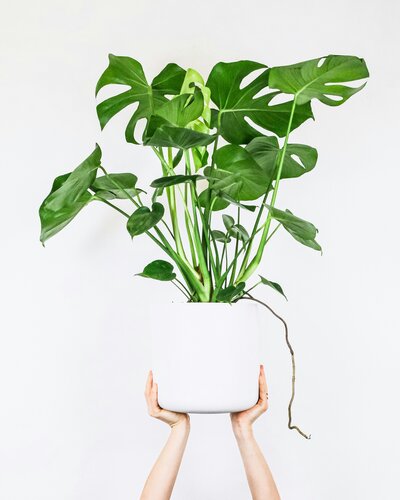 feey-bwsTJMnhcwE-unsplash
