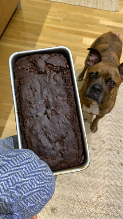 96BC2FE8-E044-4D4B-8BB1-5F4E39D2BF74