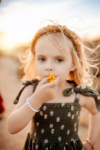 photography website template 2