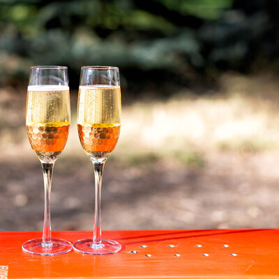 20-Degrees-Media-Stock-Photography-Champagne-Square