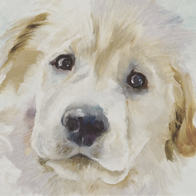 pet-portrait-for-lizzie-stephanie-molnar-art
