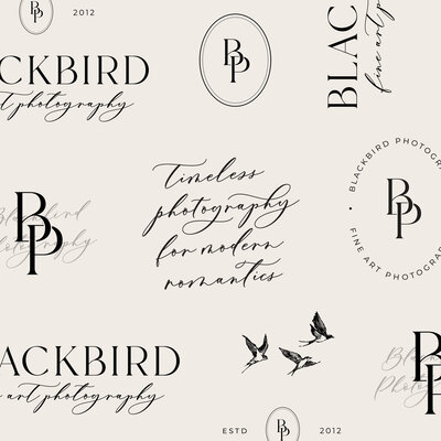 Blackbird-photography-social media - posts12