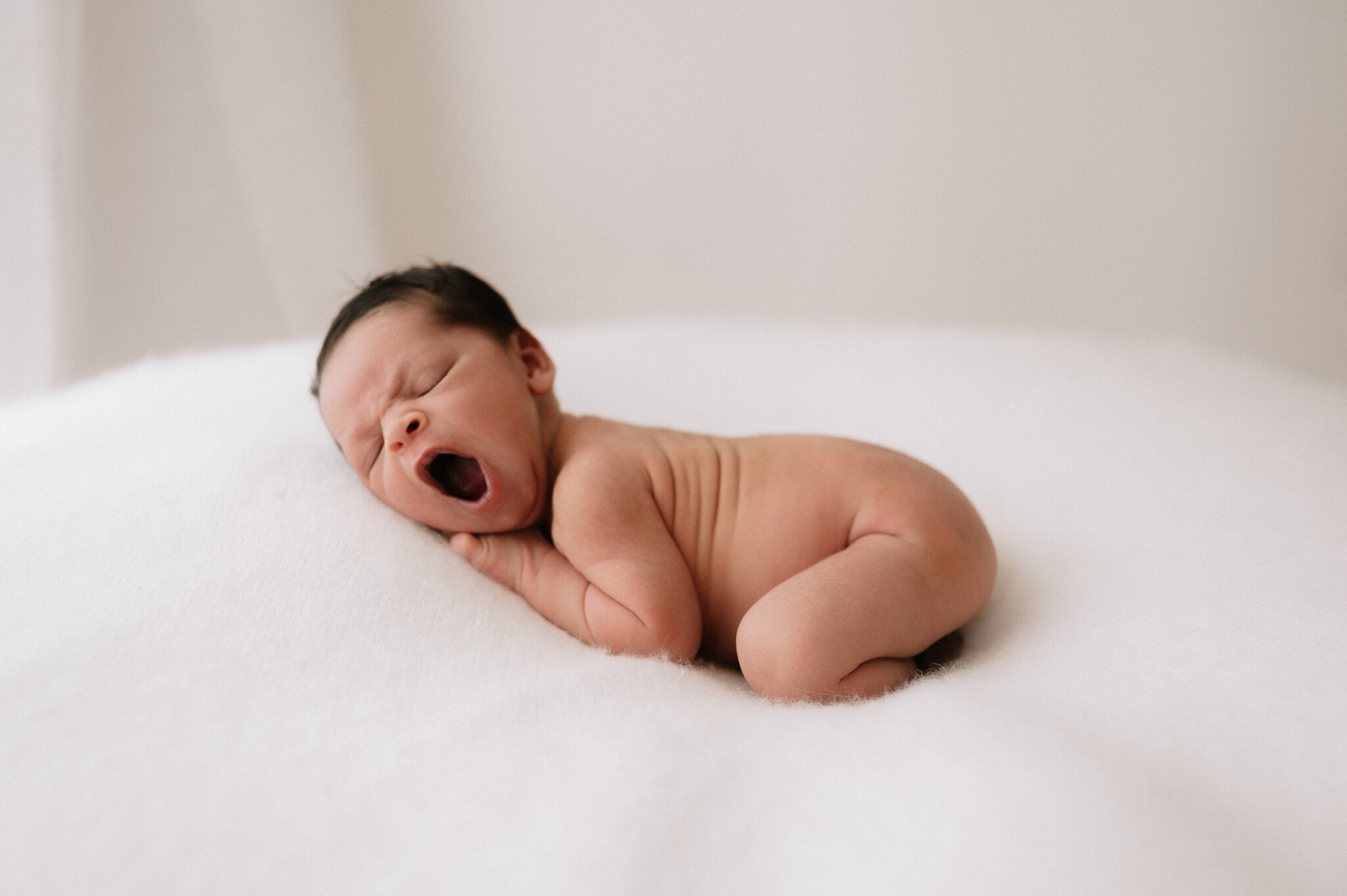 York newborn photographer viral_-217