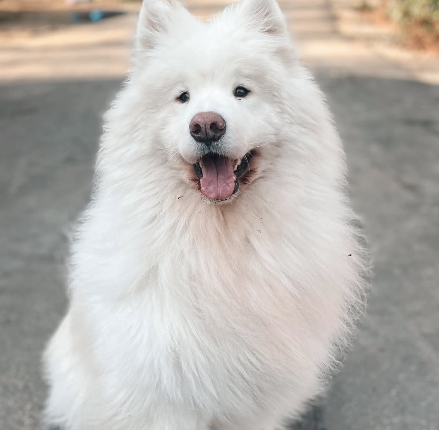 Screenshot 2025-10-24 at 2.38.54 PM