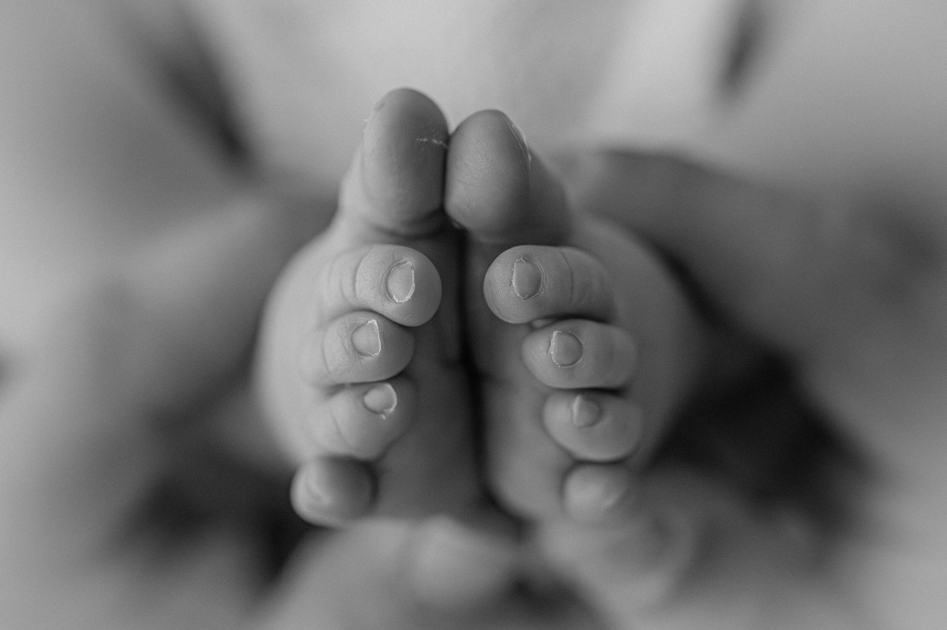 close up of newborn baby feet in York, near me