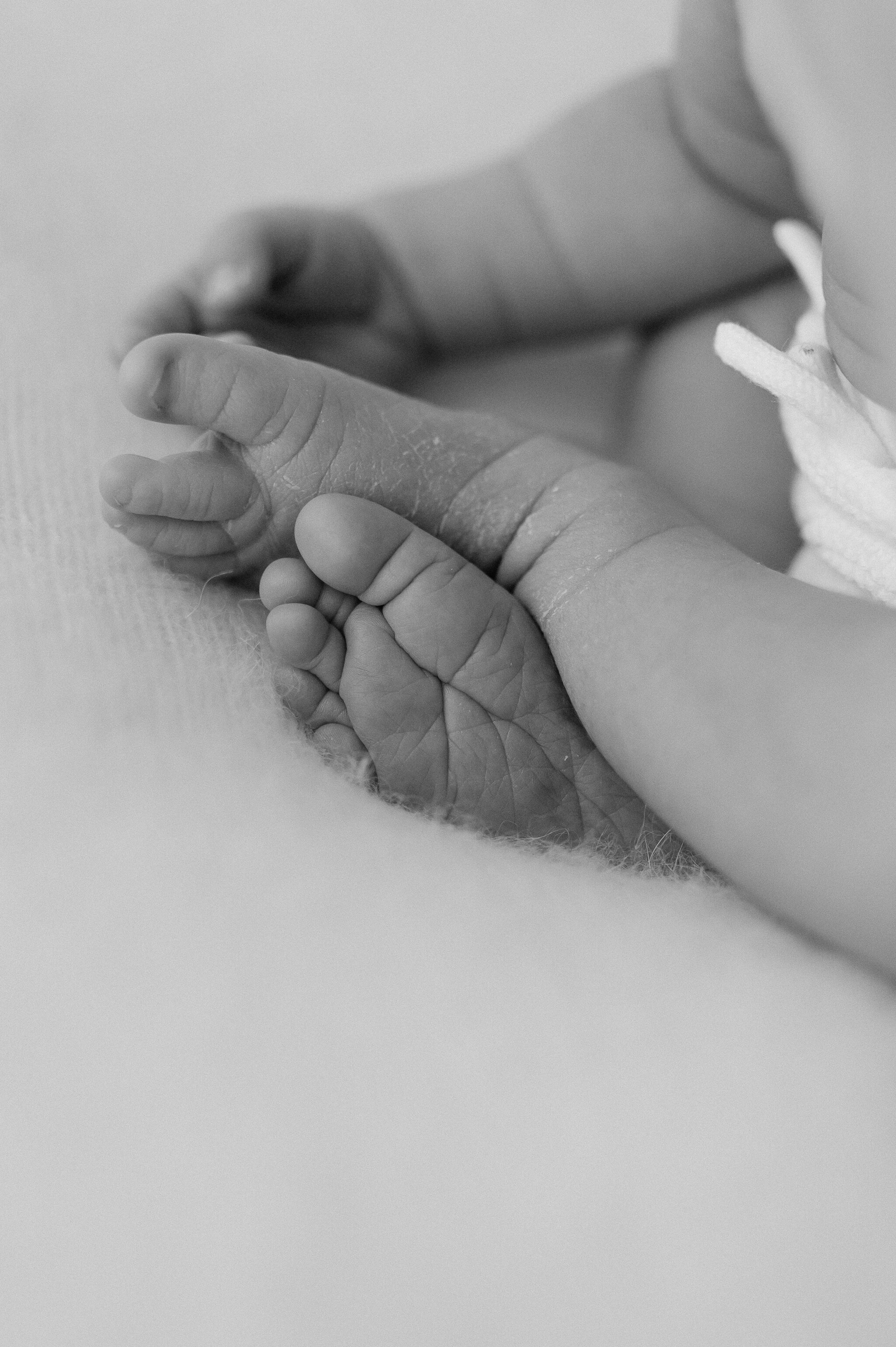 York newborn photographer viral_-146