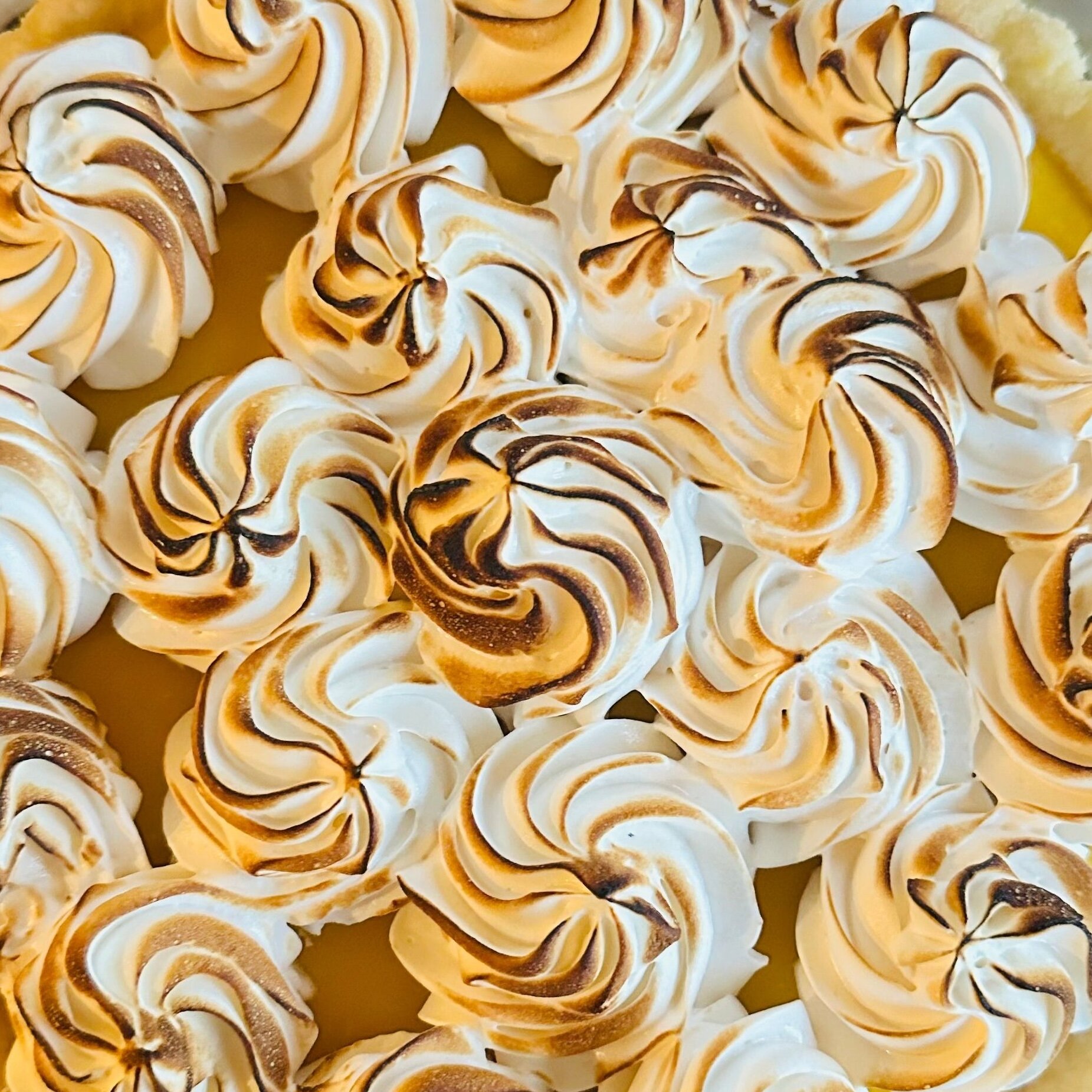lemon-toasted-meringue