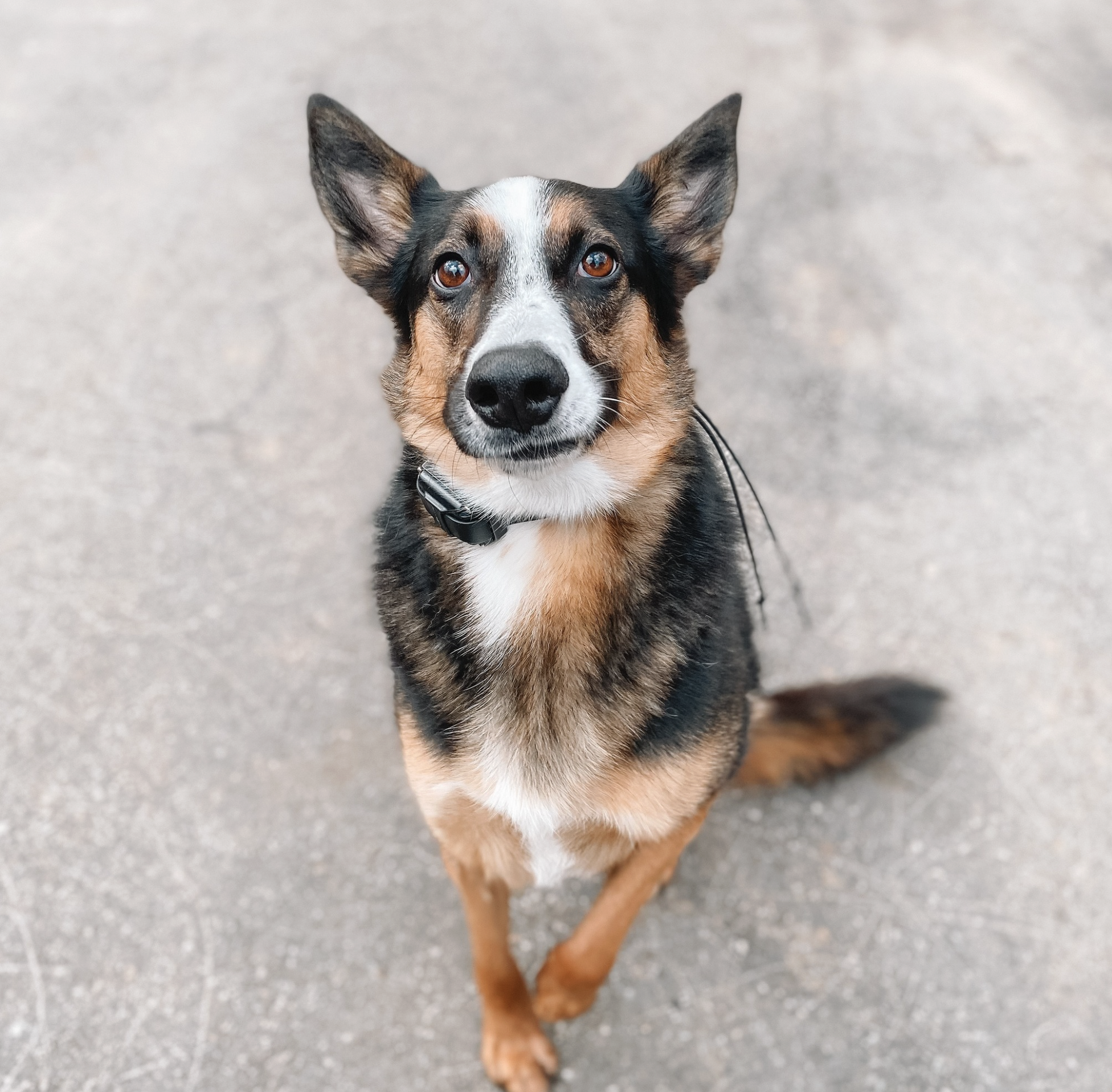 Screenshot 2025-10-24 at 2.37.42 PM