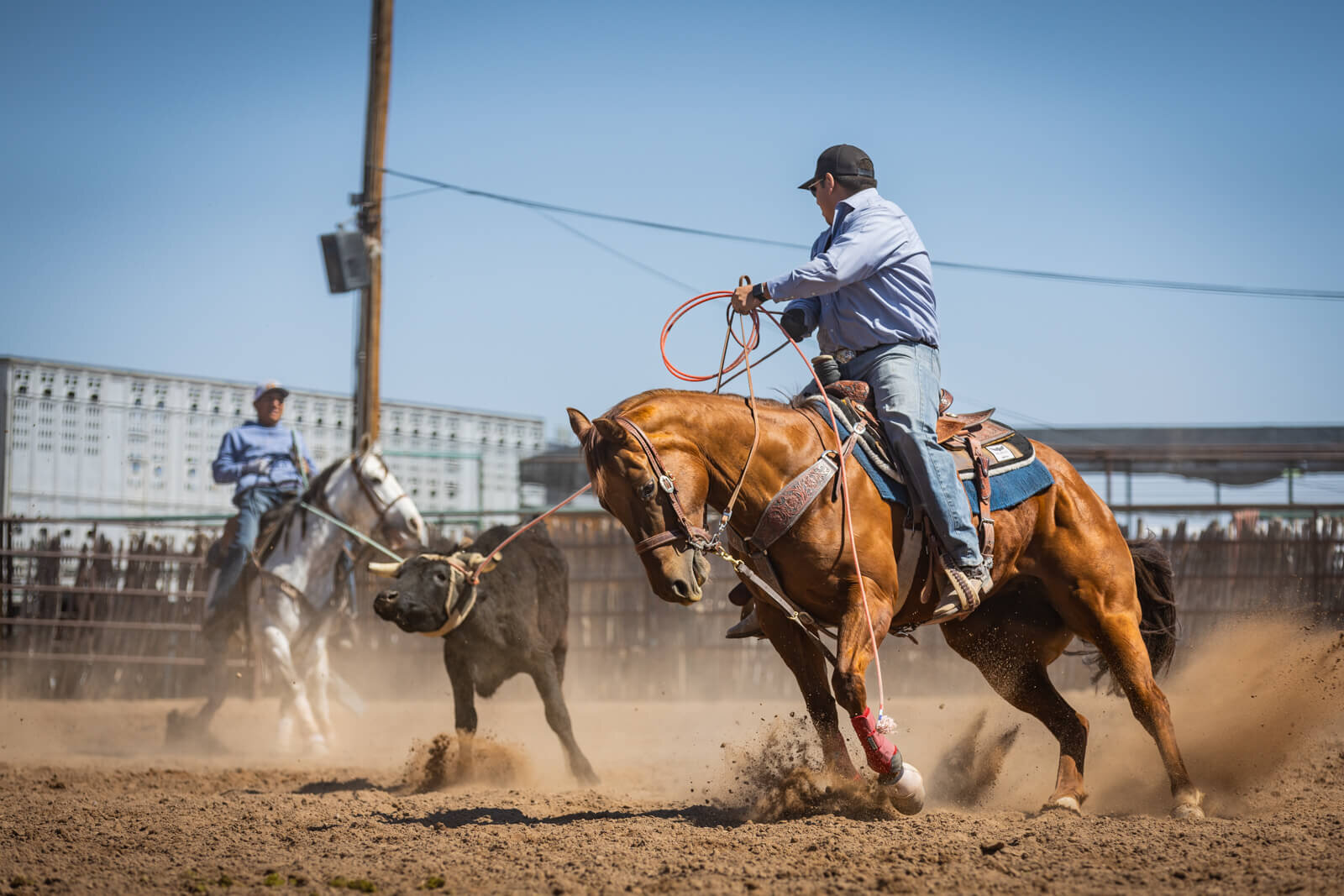 El-Paso-Texas-Horse-Show-Photographer-049